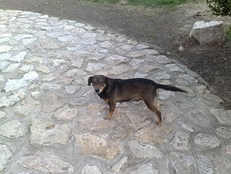 20090427111.jpg